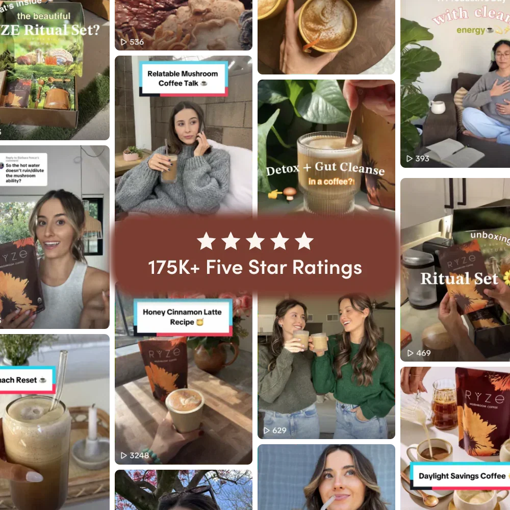 Mushroom Coffee House Blend 30 Servings