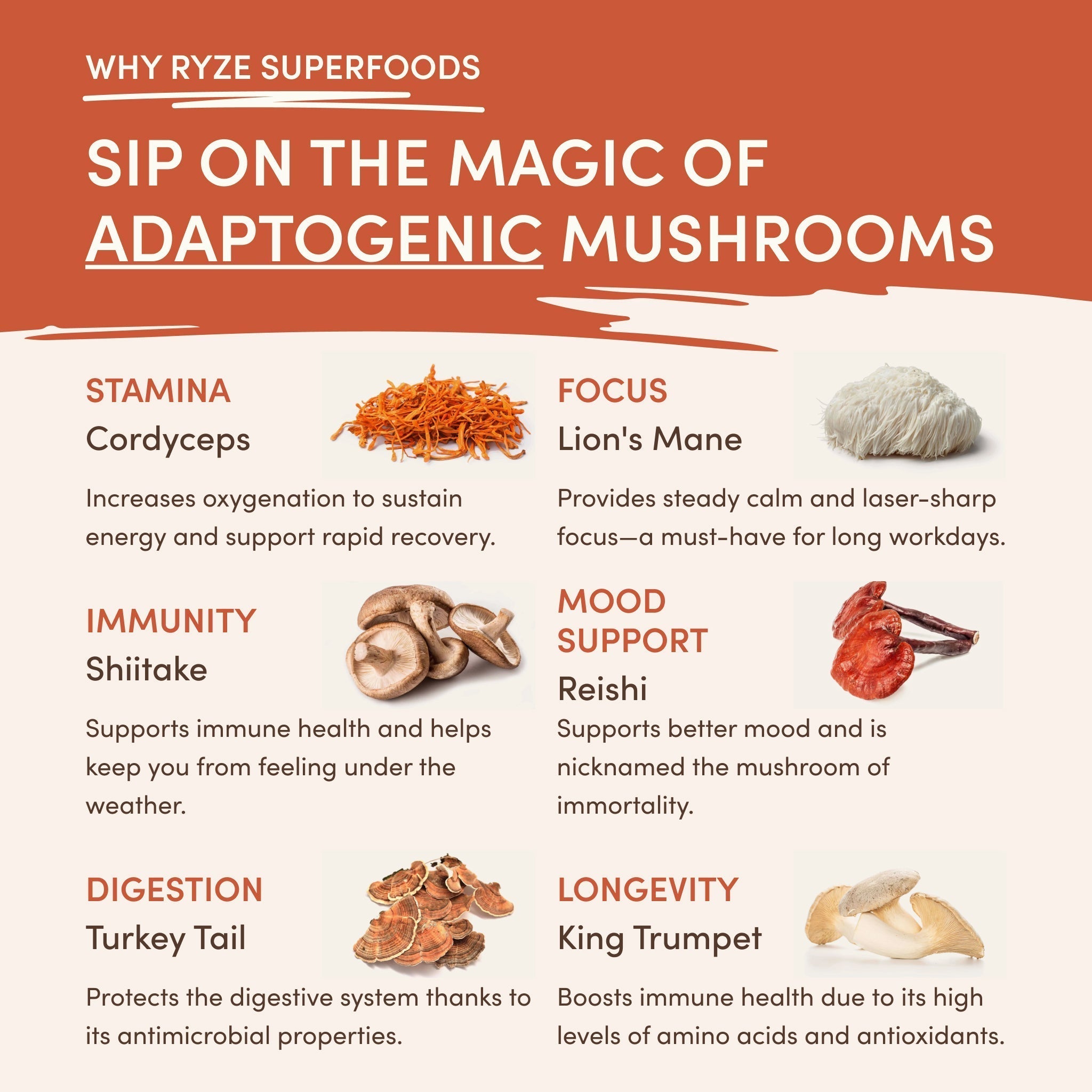 Vanilla + Caramel Superfood Creamer